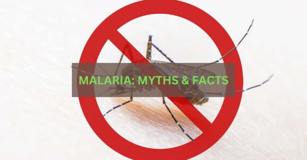 MALARIA MYTHS FACTS