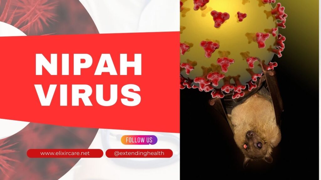 Nipah Virus and a bat causing the virus